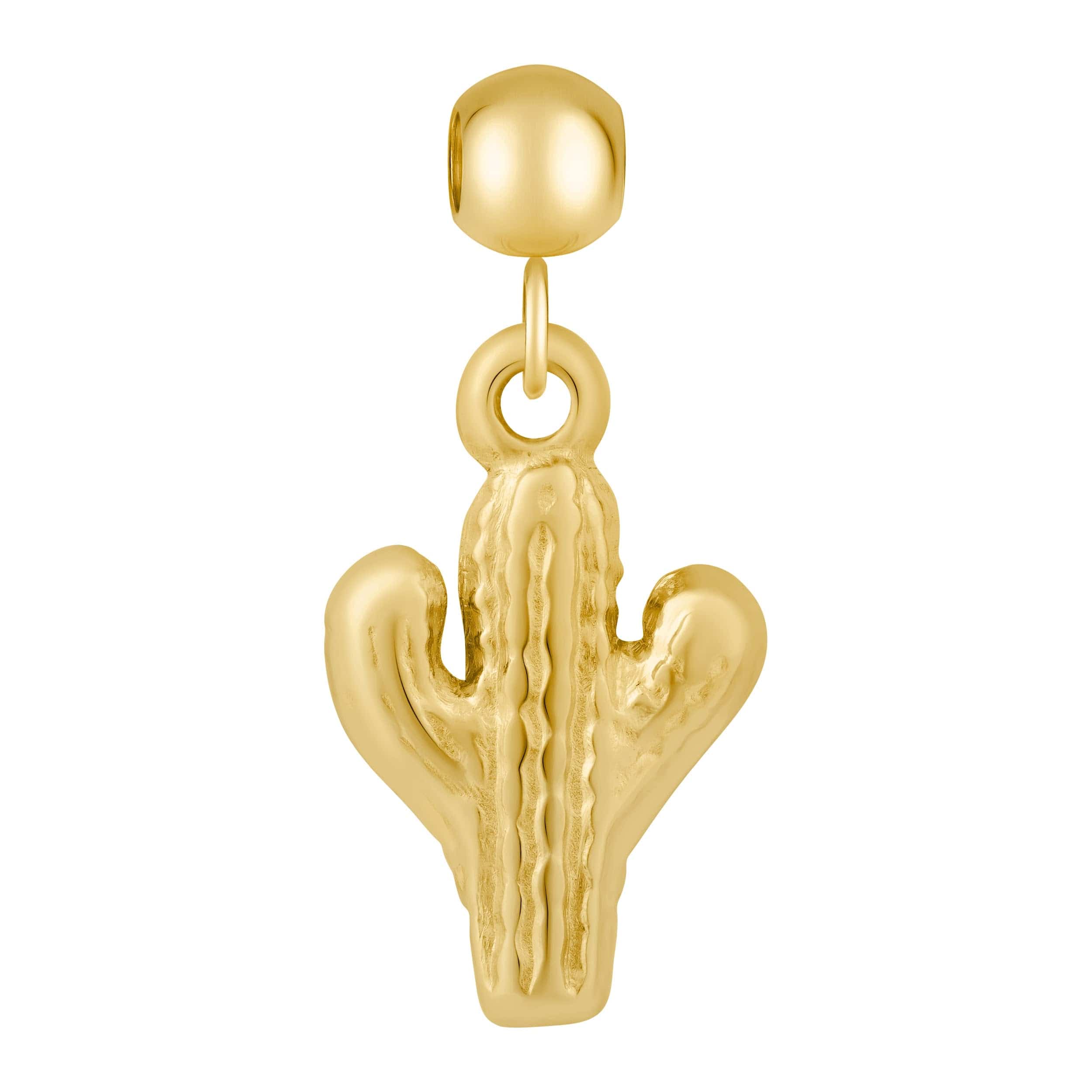 Cactus Charm