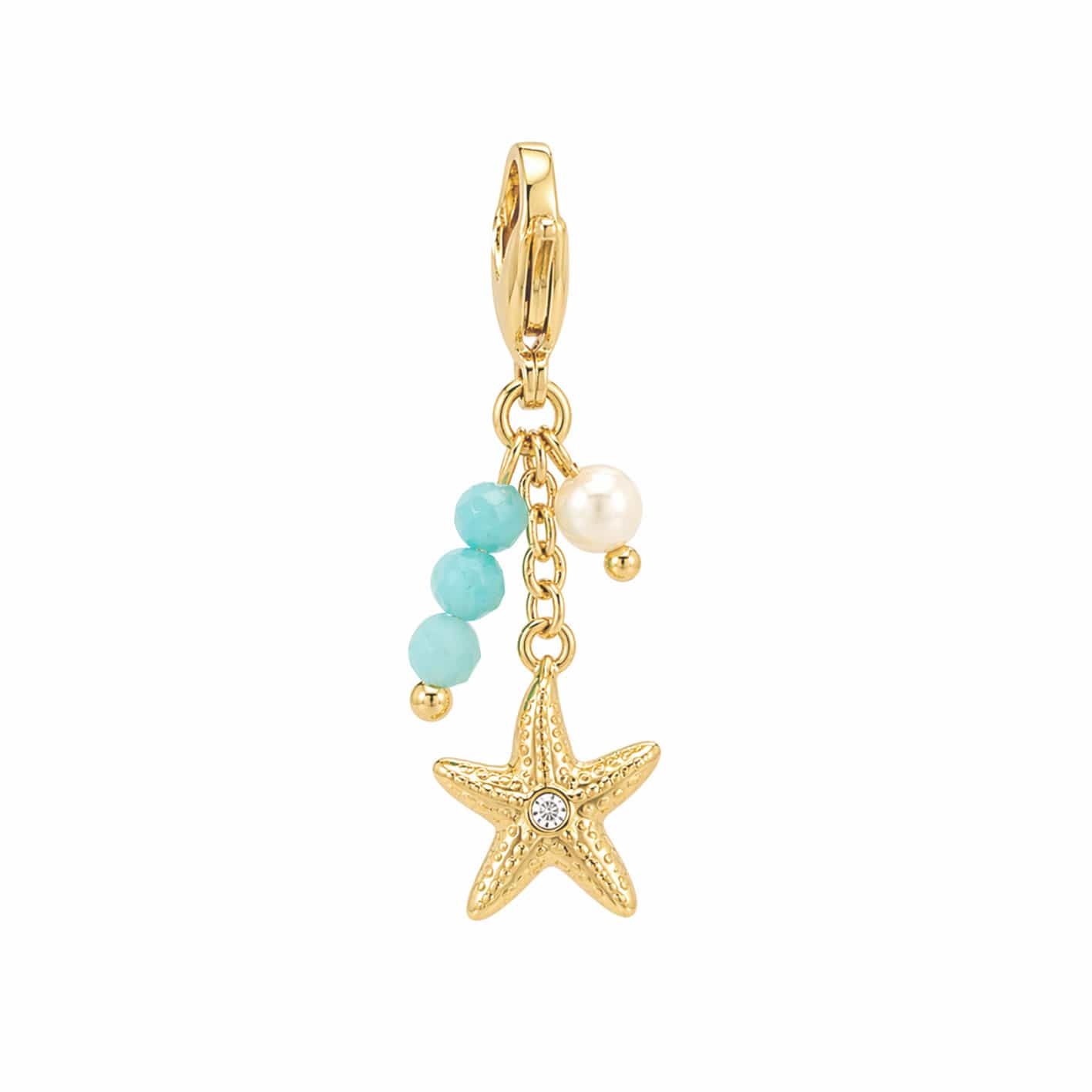 Hibiscus Bikini Charm